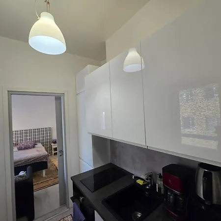 Centric Cozy Entire In Kallio, 公寓 *